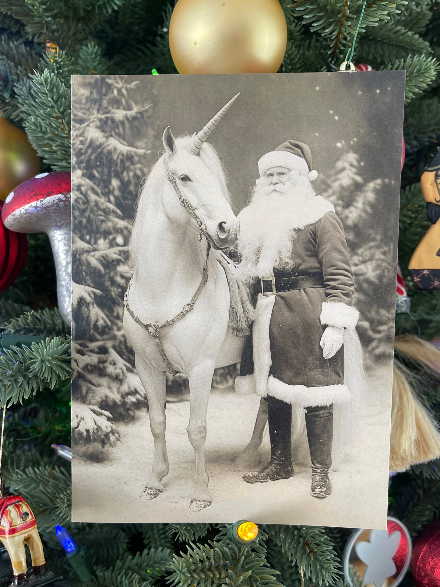 Santa and the Unicorn