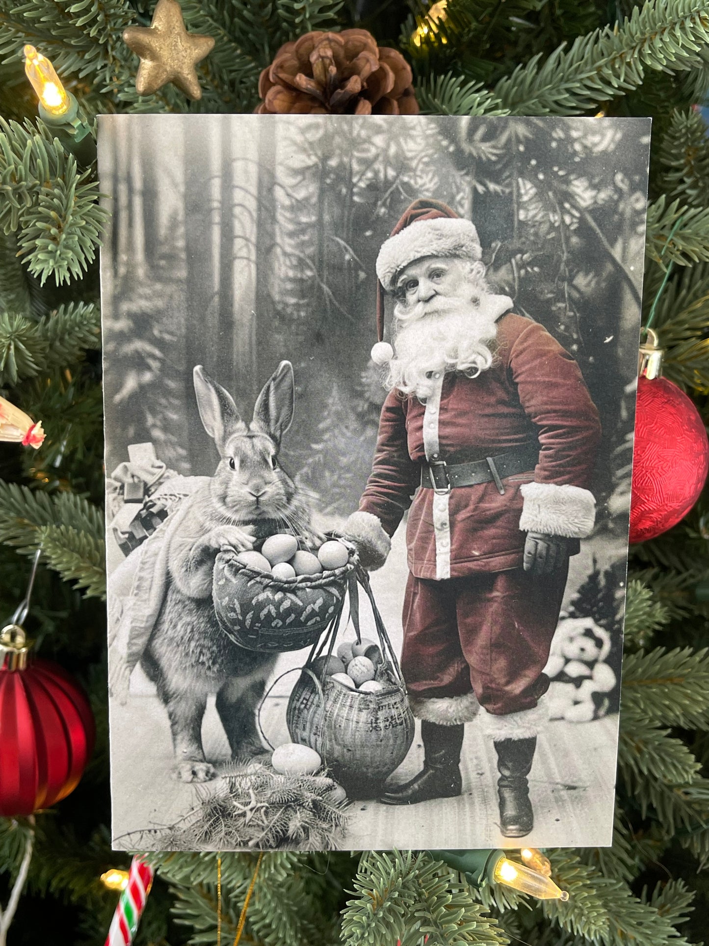 Santa and the Easter Bunny