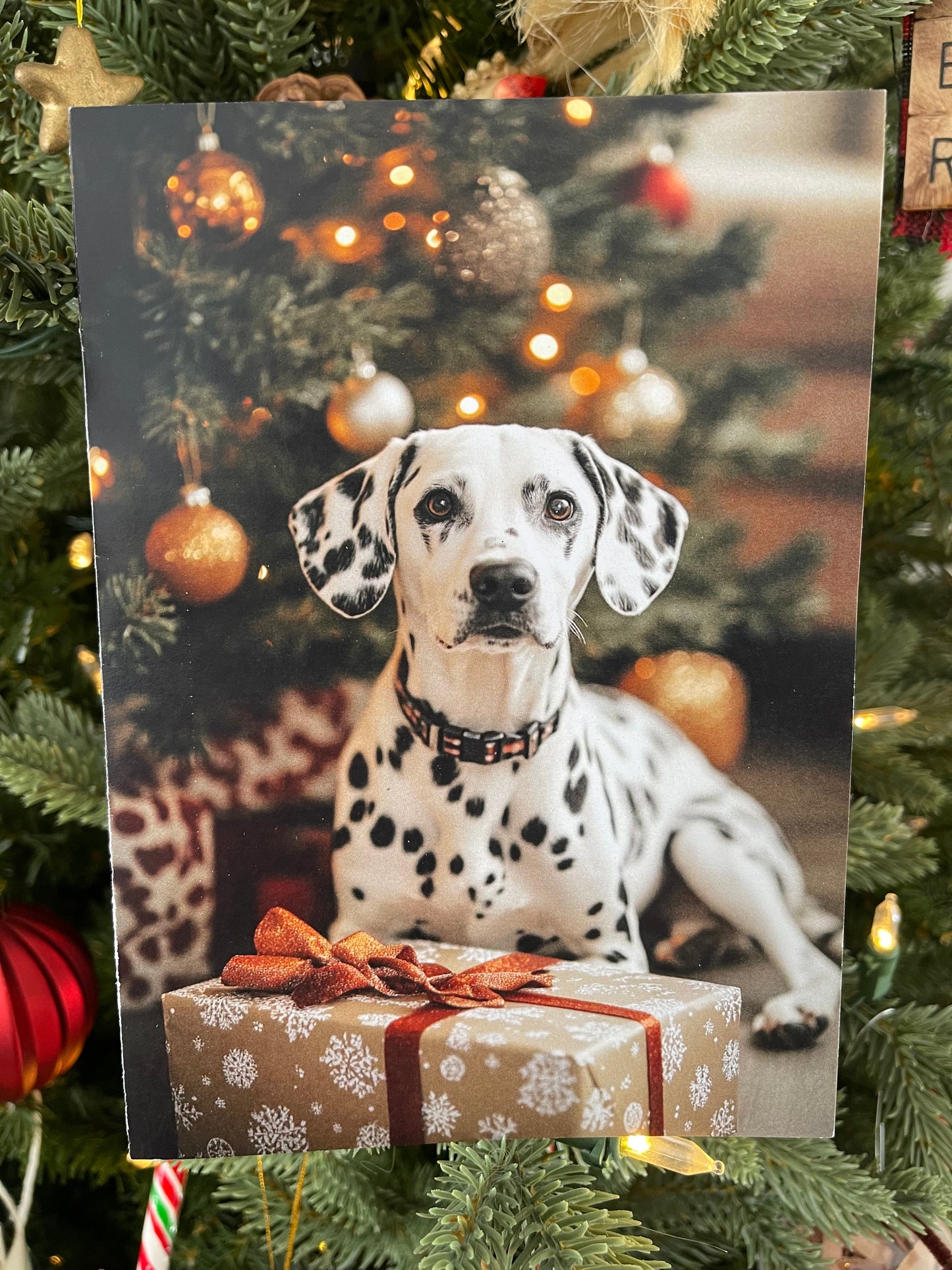 Christmas Dog - Dalmation