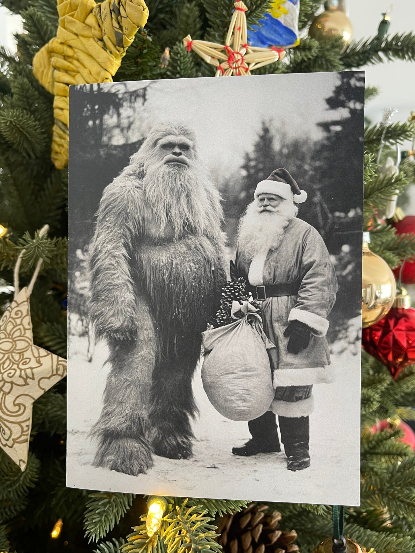 Santa and the Sasquatch